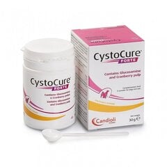 CystoCure FORTE 30g pulveris cena un informācija | Vitamīni, uztura bagātinātāji, pretparazītu līdzekļi kaķiem | 220.lv