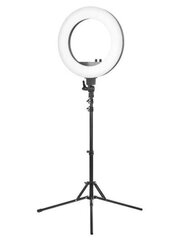 Gredzenveida LED lampa XXL izmērā (44 cm) ar tālvadības pulti un statīvu cena un informācija | Apgaismojums fotografēšanai | 220.lv