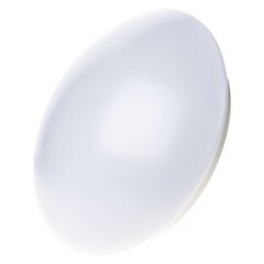 LED griestu lampa CORI R 22W/neitrāls balts cena un informācija | Griestu lampas | 220.lv