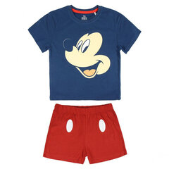 Pidžama zēnam Disney Mickey and Friends cena un informācija | Zēnu pidžamas, halāti | 220.lv