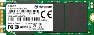 Transcend TS256GMTS600S cena un informācija | Iekšējie cietie diski (HDD, SSD, Hybrid) | 220.lv
