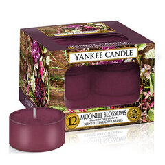 Yankee Candle Moonlit Blossoms aromātiska svece 12 x 9.8 g cena un informācija | Sveces un svečturi | 220.lv