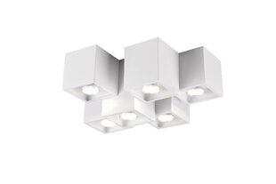Griestu lampa Fernando, 6-daļīga, 6 x GU10, matēti balta 920051766 cena un informācija | Griestu lampas | 220.lv