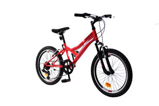 Bērnu velosipēds N1 Junior 20 " cena un informācija | Velosipēdi | 220.lv