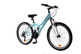 Bērnu velosipēds N1 Junior 24 " cena un informācija | Velosipēdi | 220.lv
