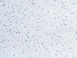 Šķidrās tapetes Poldecolor 18-3, zilas ar spīdumu cena un informācija | Tapetes | 220.lv