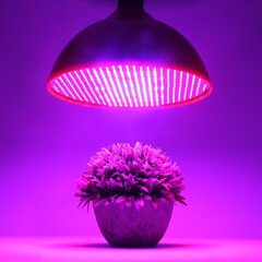 Pilna spektra lampa augu audzēšanai, 80W cena un informācija | Spuldzes | 220.lv