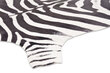 Vercai Rugs paklājs Nova Skin, ar zebras rakstu – dažādi izmēri cena