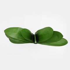 Mākslīgās orhideju lapas cena un informācija | Mākslīgie ziedi | 220.lv