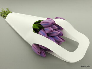 Papīra maisiņš ziediem, balts cena un informācija | Materiāli floristikai | 220.lv