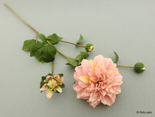 Mākslīgais zieds - dālija, gaiši rozā cena un informācija | Mākslīgie ziedi | 220.lv
