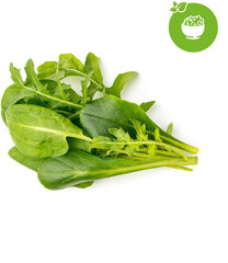 Click & Grow Plant Pod Salad Mix 9tk cena un informācija | Diedzēšanas trauki | 220.lv