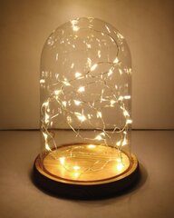 Ziemassvētku gaismas Dekoratīvi 100LED silti balti 10M cena un informācija | Ziemassvētku lampiņas, LED virtenes | 220.lv