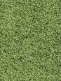 Narma bārkšu paklājs SPICE, zaļā krāsā - dažādi izmēri, 133 x 200 cm