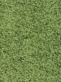 Narma bārkšu paklājs SPICE, zaļā krāsā - dažādi izmēri, 67 x 133 cm