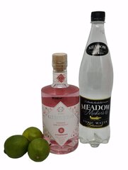 Bezalkoholiskā kokteiļa komplekts Džins Strawberry ar toniku, 700 ml cena un informācija | Bezalkoholiskie dzērieni | 220.lv