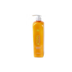 Angel Professional šampūns sausiem un normāliem matiem, 250 ml cena un informācija | Šampūni | 220.lv