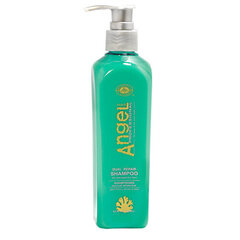 Angel Professional dubultās iedarbības atjaunojošs šampūns, sausiem un bojātiem matiem, 1000ml cena un informācija | Šampūni | 220.lv