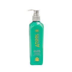 Angel Professional dubultās iedarbības atjaunojošs šampūns, sausiem un bojātiem matiem, 250ml cena un informācija | Šampūni | 220.lv
