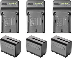 Baterijas Neewer NP-F550, 3 vienības ar lādētāju cena un informācija | Apgaismojums fotografēšanai | 220.lv