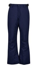 Five Seasons vīriešu slēpošanas bikses EVRON, tumšzilā krāsā 907169955 cena un informācija | Vīriešu slēpošanas apģērbs | 220.lv