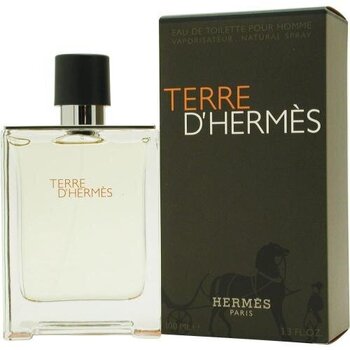 Hermes Terre d'Hermes EDT vīriešiem 100 ml cena un informācija | Vīriešu smaržas | 220.lv