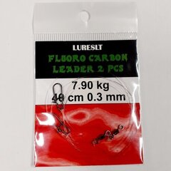 Pavadiņa Fluorocarbon 40cm 0.3mm cena un informācija | Citi makšķerēšanas piederumi | 220.lv