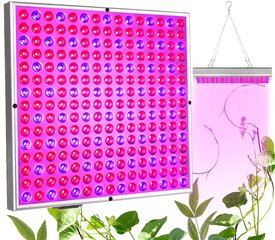 LED Augu audzēšanas panelis 225 diodes 36W cena un informācija | Spuldzes | 220.lv