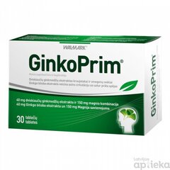 WM. GinkoPrim 40mg tab.N30 cena un informācija | Vitamīni, preparāti, uztura bagātinātāji imunitātei | 220.lv
