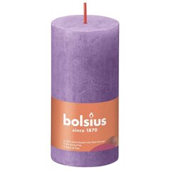 Bolsius cilindriskas sveces Shine, 8 gab., 100x50 mm, spilgti violetas cena un informācija | Sveces un svečturi | 220.lv
