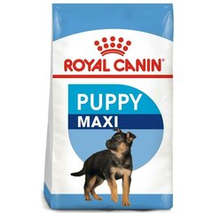 Royal Canin Maxi Junior, 15 kg cena un informācija | Sausā barība suņiem | 220.lv