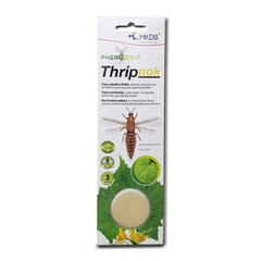 Thripnok tripšu kukaiņu pievilinātājs 1 gab cena un informācija | Augu kopšanas līdzekļi | 220.lv