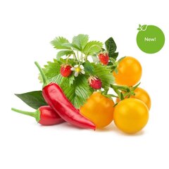Smart Garden uzpilde 9 iepakojumi ar augļu un dārzeņu maisījumu cena un informācija | Diedzēšanas trauki | 220.lv