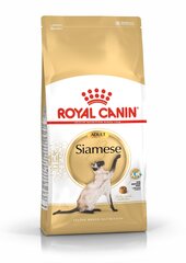 ROYAL CANIN spieaugušie Siāmas kaķi Siamese Adult, 10 kg cena un informācija | Sausā barība kaķiem | 220.lv