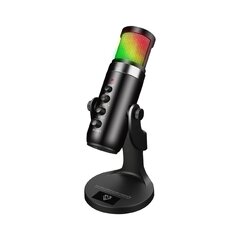 VERTUX Crusader profesionālais spēļu mikrofons USB / RGB cena un informācija | Mikrofoni | 220.lv