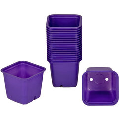 Podiņi sēšanai kvadrātveida 6x6 cm. 30gab. violetas krāsas cena un informācija | Podi stādiem un pārstādīšanai | 220.lv