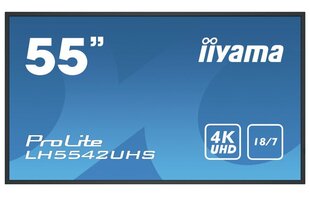 Iiyama 1_781601, 54.6'' cena un informācija | Monitori | 220.lv