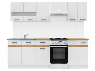 Virtuves mēbeļu komplekts BRW Junona Line 230 ar sadzīves iekārtu, balts cena un informācija | Virtuves komplekti | 220.lv