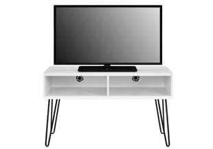 Televizora skapītis Ameriwood Home Owen, balts cena un informācija | TV galdiņi | 220.lv