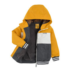 Cool Club весенняя куртка для мальчиков, COB2411157 цена и информация | Куртки для мальчиков | 220.lv