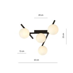 Emibig gaismeklis Smart 4 Black/Opal cena un informācija | Griestu lampas | 220.lv