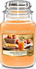 Aromātiskā svece Yankee Candle Farm Fresh Peach 623 g cena un informācija | Sveces un svečturi | 220.lv