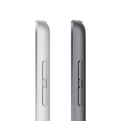 Apple iPad 9 kartos, 10.2", Wi-Fi, 256GB, pilkas цена и информация | Планшеты | 220.lv