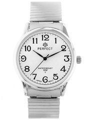 Vīriešu pulkstenis Perfect X421 cena un informācija | Vīriešu pulksteņi | 220.lv