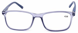 Lasīšanas brilles ar zilās gaismas aizsardzību +2 cena un informācija | Brilles | 220.lv