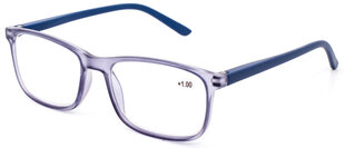 Lasīšanas brilles ar zilās gaismas aizsardzību +2.5 cena un informācija | Brilles | 220.lv