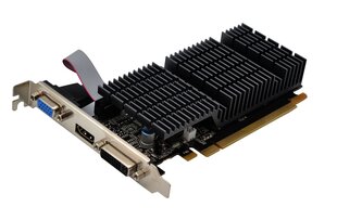 AFOX Radeon HD 6450 2GB DDR3 64Bit DVI HDMI VGA LP Passive AF6450-2048D3L9-V2 cena un informācija | Videokartes (GPU) | 220.lv
