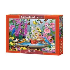 Puzle Castorland Rhythmn of nature 2000 detaļu cena un informācija | Puzles, 3D puzles | 220.lv