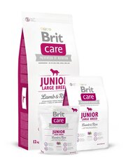 Brit Care Junior Large Breed Lamb &amp; Rice 12 kg cena un informācija | Sausā barība suņiem | 220.lv