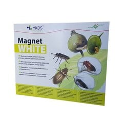 Kukaiņu lipīgās lamatas zāģlapsenēm MAGNET WHITE (20 x 25 cm) cena un informācija | Aizsardzībai pret kukaiņiem | 220.lv